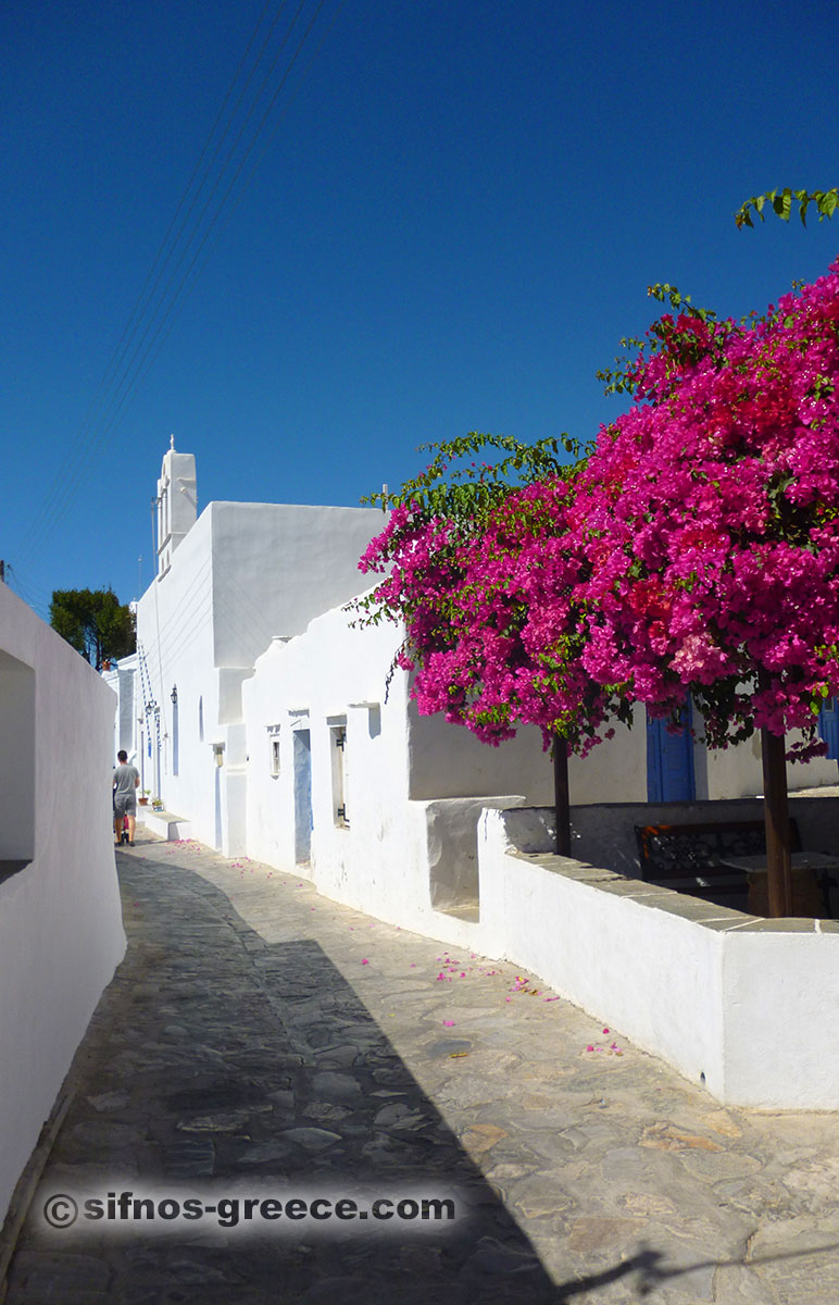 Die zentrale Gasse von Artemonas mit Bougainvillea