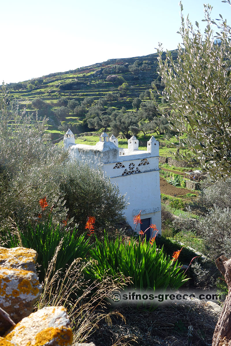 Ein Taubenschlag auf der Spur von Kato Petali