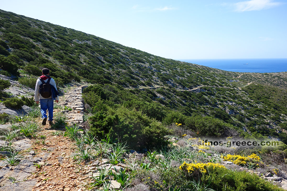 Die Spur von Ai Nikolas von Cheronissos, im Frühjahr